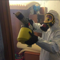 Уничтожение клопов в квартире. Комендантский проспект